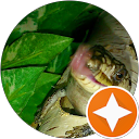 Alison Smith profile picture